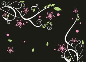 对角花硅藻泥图