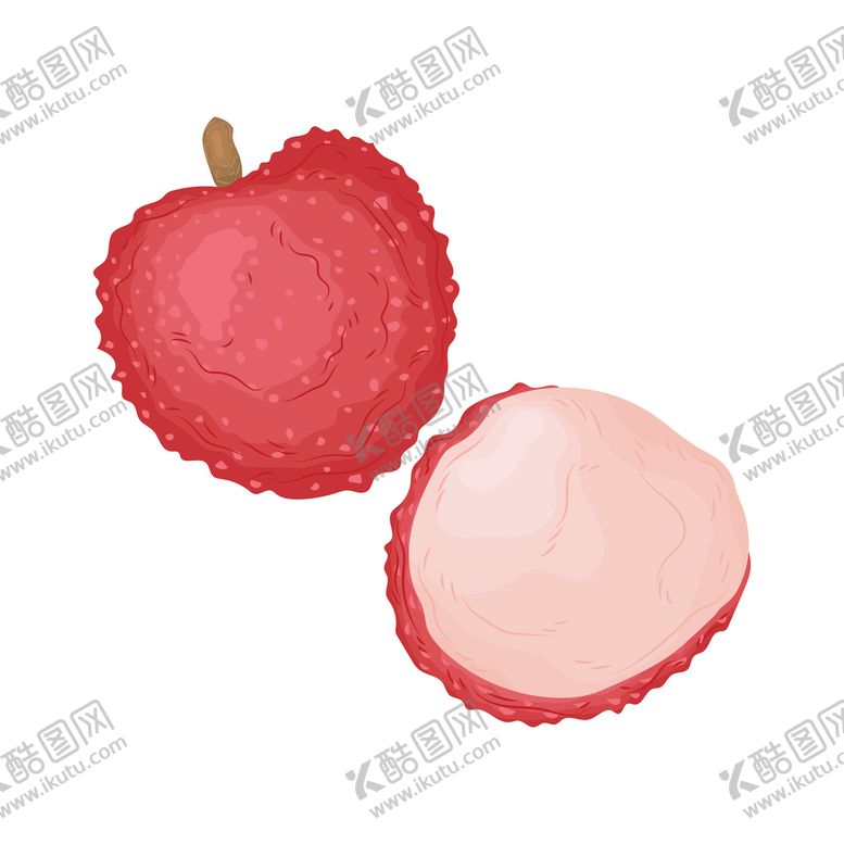 编号：50442210291800102759【酷图网】源文件下载-插画荔枝