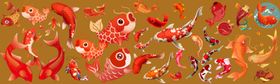 鱼图片