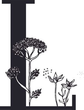 手绘花纹字母