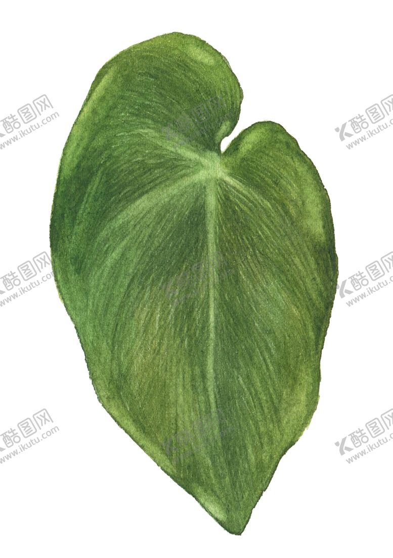 编号：16950410241902145220【酷图网】源文件下载-叶子