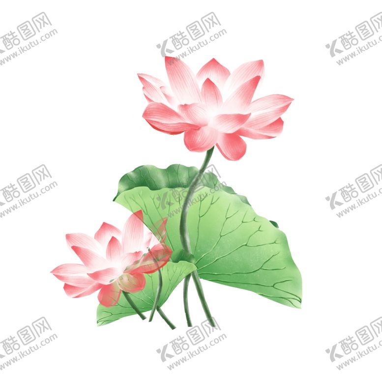 编号：97113906242347229365【酷图网】源文件下载-荷花