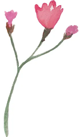 粉红扭曲花型
