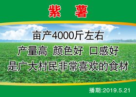 紫薯挂面
