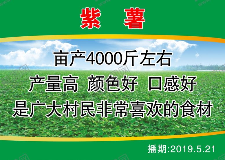 编号：84423409180726118061【酷图网】源文件下载-紫薯