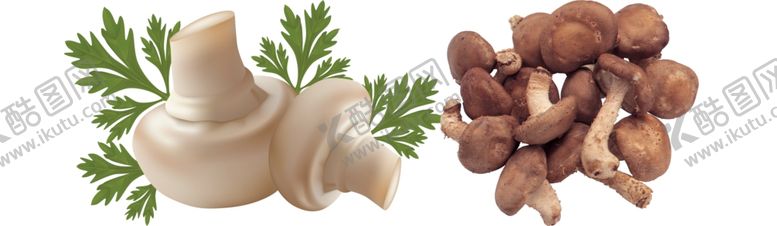 编号：61674610061608265409【酷图网】源文件下载-蘑菇png免扣高清素材