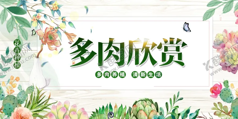 编号：70533802220652312562【酷图网】源文件下载-多肉植物绿色小清新花卉外框