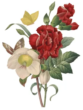 花