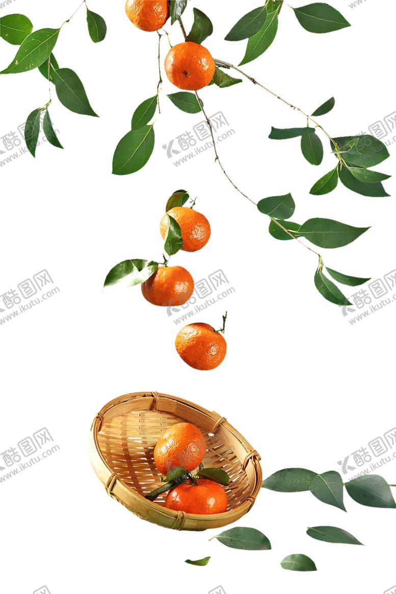 编号：96405509161657563553【酷图网】源文件下载-桔子