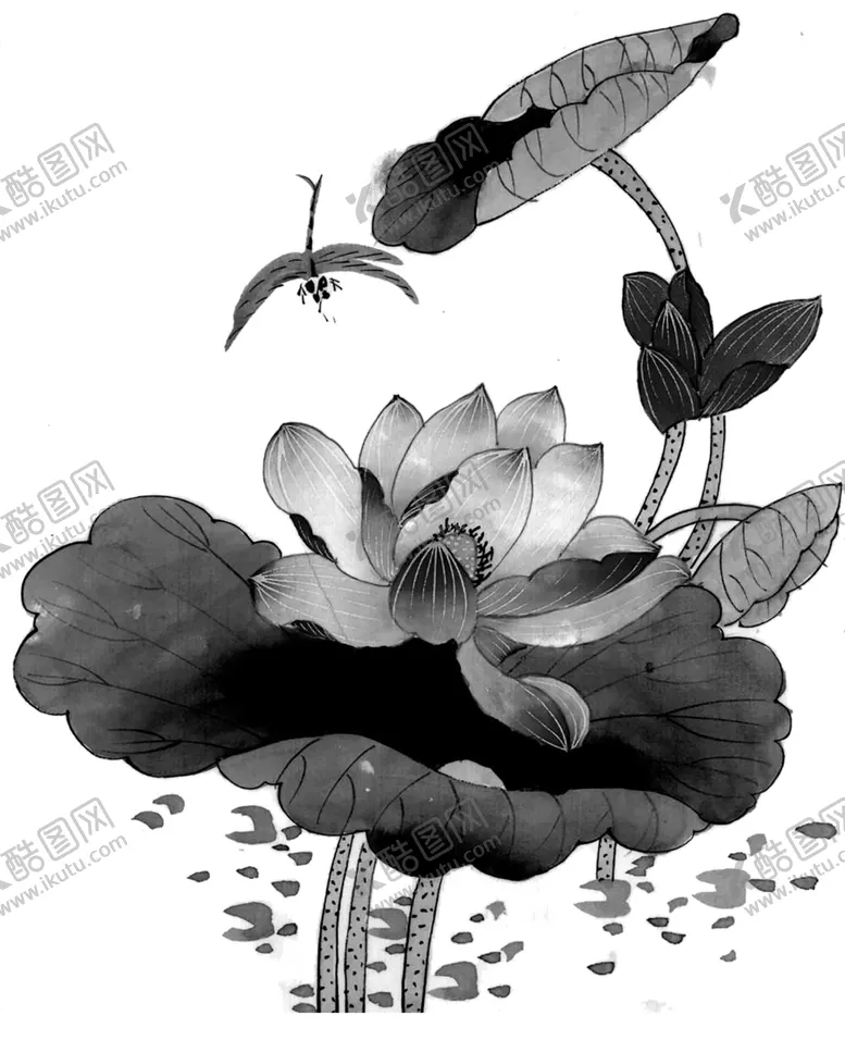 编号：35553405131213208693【酷图网】源文件下载-水墨荷花粉色荷花荷花意境