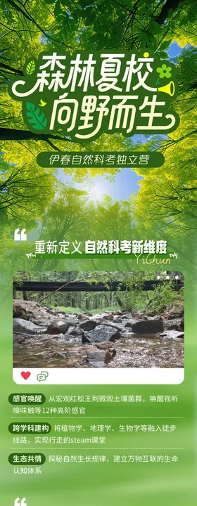 绿色自然伊春旅行科考营长图海报
