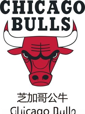 NBA公牛队