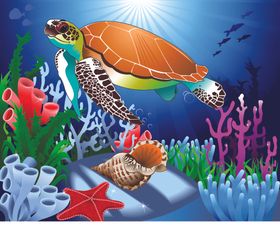 海底乐园生物水底乐园水草