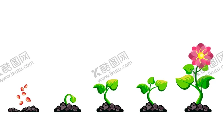 编号：02357109250806412934【酷图网】源文件下载-花朵生长