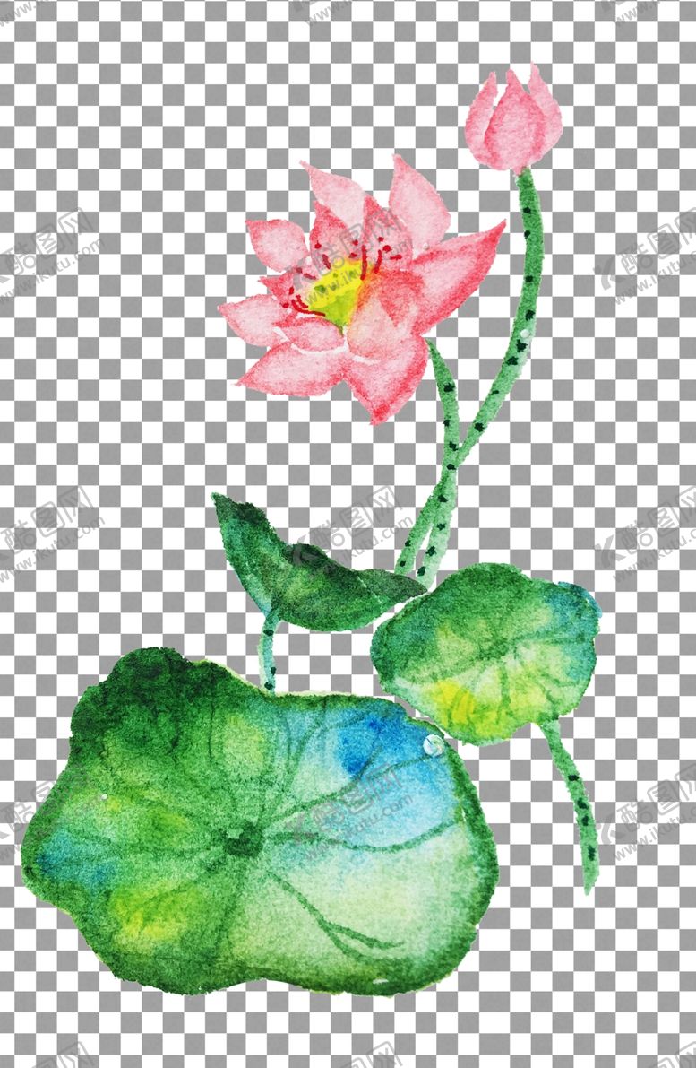 编号：65465705040023129030【酷图网】源文件下载-手绘荷花