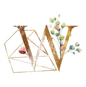W字母logo