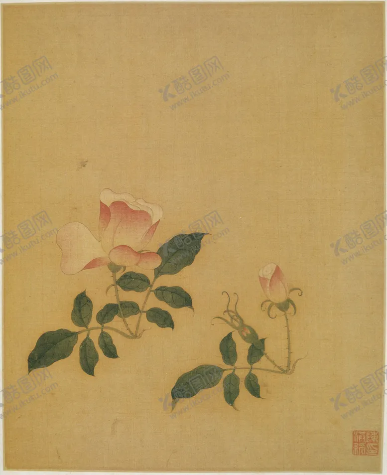 编号：37403806252054116585【酷图网】源文件下载-植物花朵工笔画
