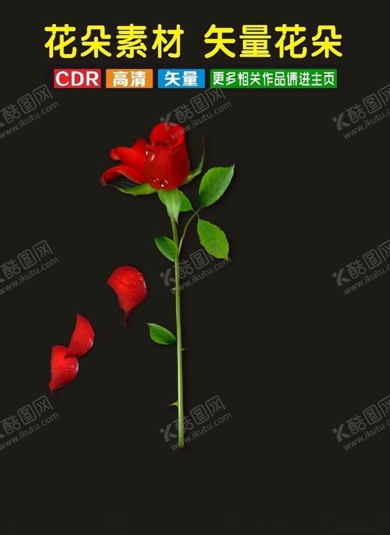编号：62474810182145492603【酷图网】源文件下载-艺术插花卉