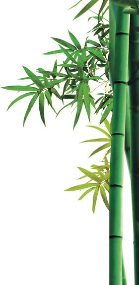 竹子手绘叶中国风端午节