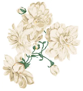 白花