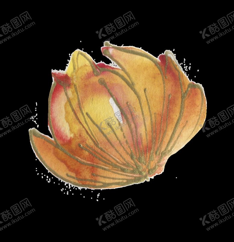 编号：98716210090422249537【酷图网】源文件下载-高清典雅花卉PNG素材系列