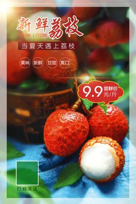 新鲜荔枝海报