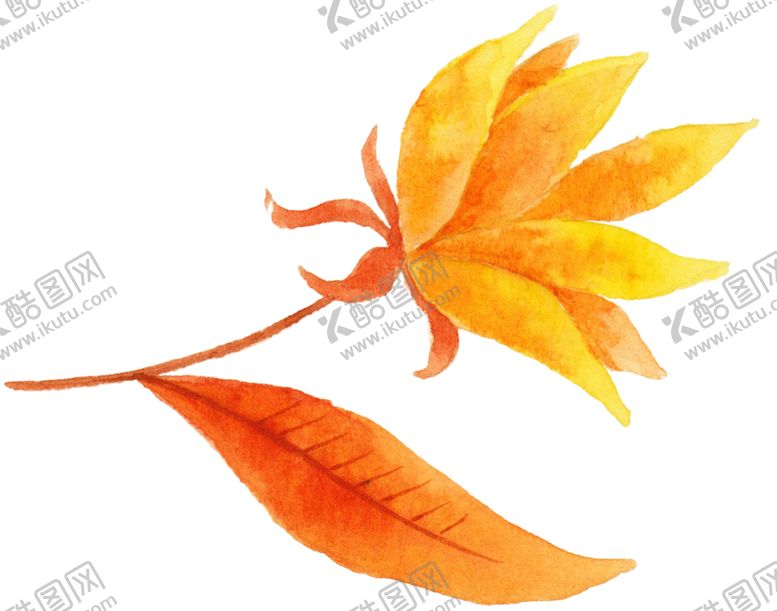 编号：36107309221335064350【酷图网】源文件下载-水彩植物