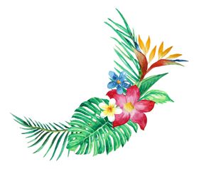 夏日植物树叶装饰图案