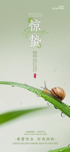 绿叶上的蜗牛