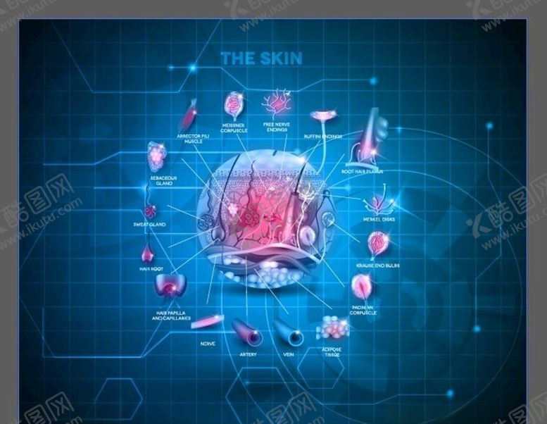 编号：89484409280911076583【酷图网】源文件下载-医疗海报