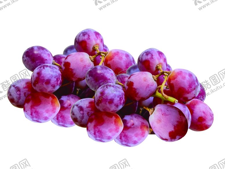 编号：30572510291151574505【酷图网】源文件下载-葡萄