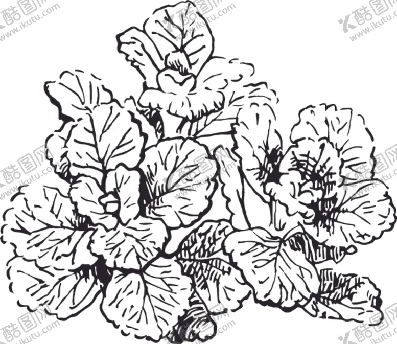编号：39751306160351067625【酷图网】源文件下载-素描鲜花