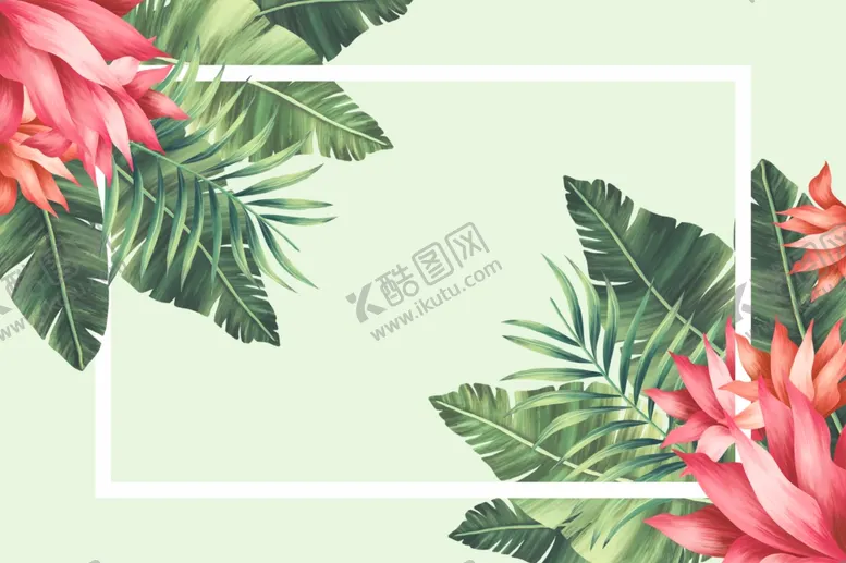 植物花朵插画背景边框底纹草素材手绘