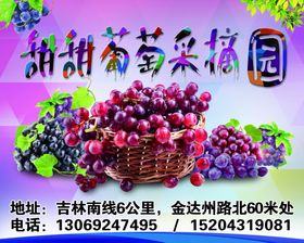 葡萄大海报
