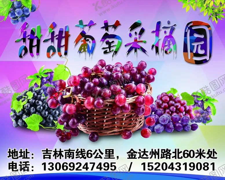 编号：78684106260701597639【酷图网】源文件下载-葡萄大海报