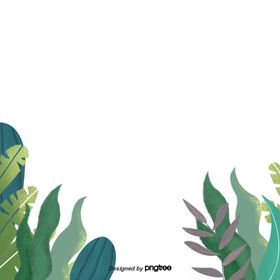 海藻卡通