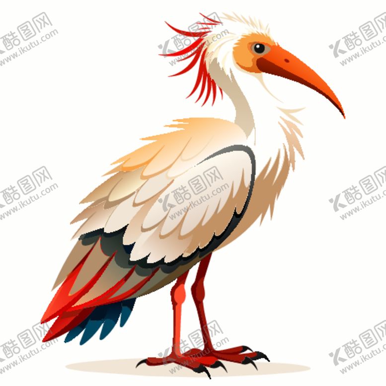 编号：54238801131702191544【酷图网】源文件下载-拟真风格朱鹮