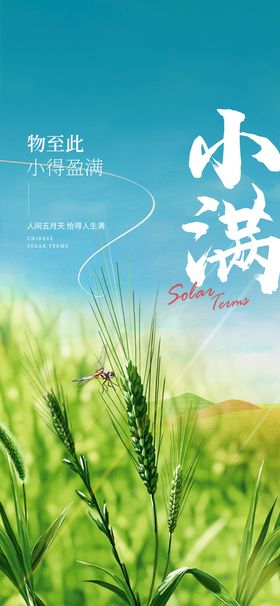 小满芒种24节气房地产插图手绘