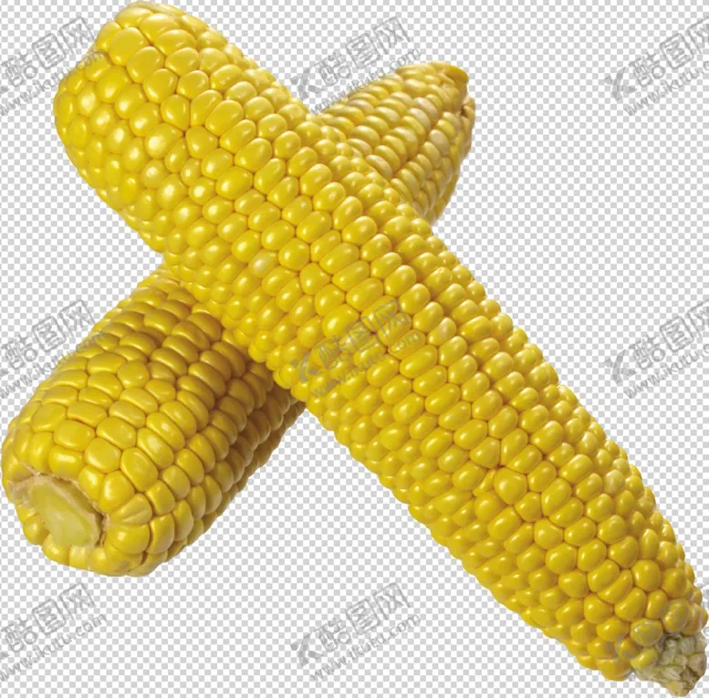 编号：22385704162035572788【酷图网】源文件下载-玉米