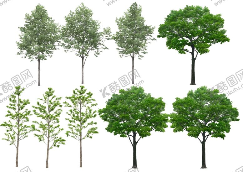 编号：51199810200545341699【酷图网】源文件下载-景观设计高清植物树木素材贴图