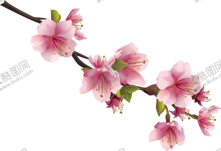 编号：83243009211017505738【酷图网】源文件下载-樱花