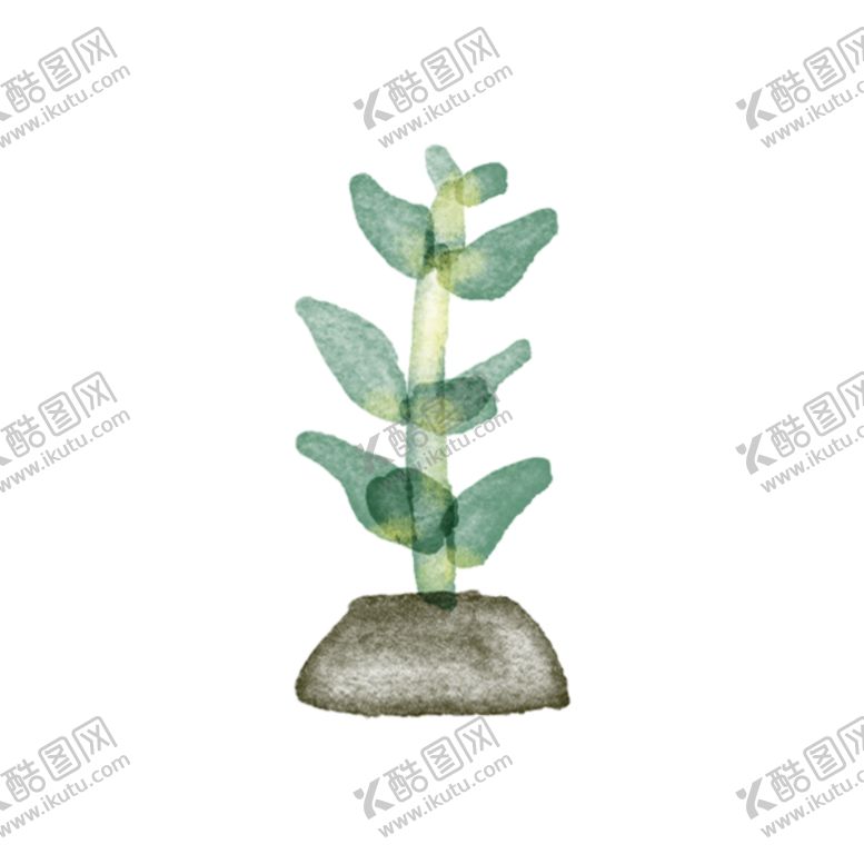 编号：55354106260500143622【酷图网】源文件下载-水彩植物