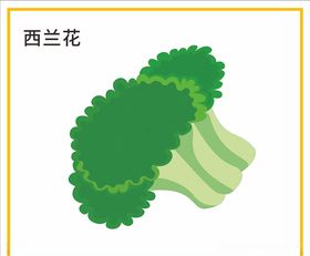 西兰花