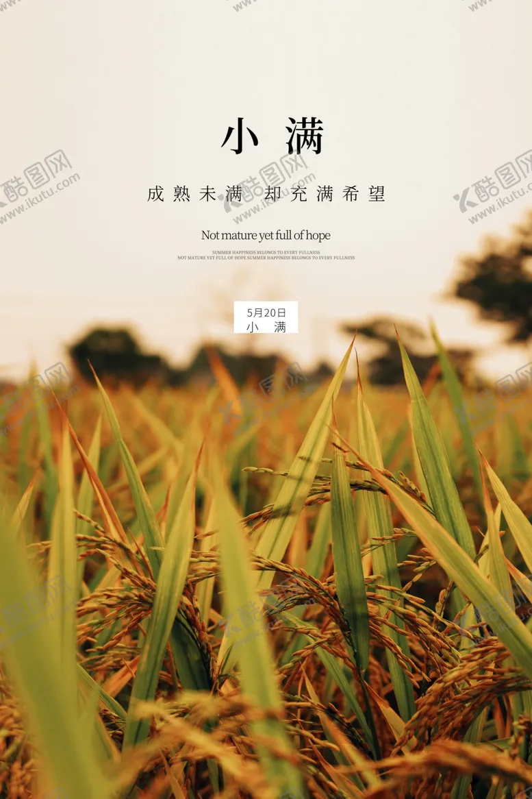 编号：27738207020323402749【酷图网】源文件下载-小满节气海报