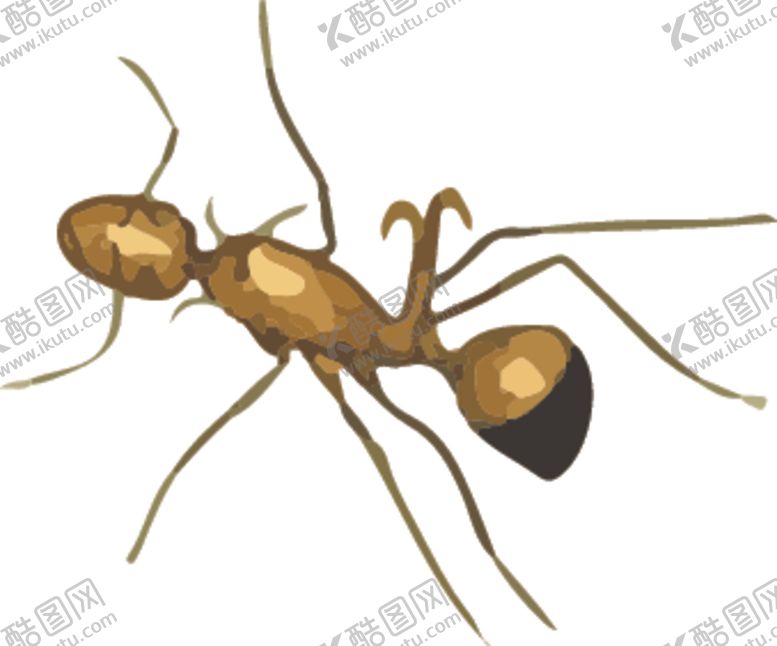 编号：67554710101847295109【酷图网】源文件下载-蚂蚁昆虫插画