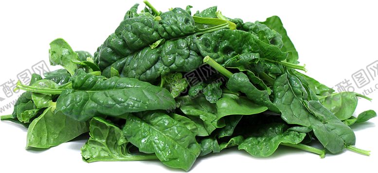 编号：77229309280007348773【酷图网】源文件下载-菠菜