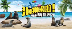 海狮表演活动海报 夏季 清凉