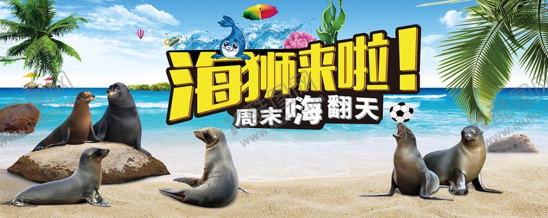 编号：42390809210036527689【酷图网】源文件下载-海狮表演活动海报 夏季 清凉 