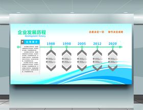 企业发展历程