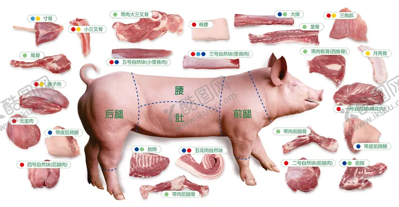 编号：61257009141336393506【酷图网】源文件下载-猪肉肉铺正宗土猪